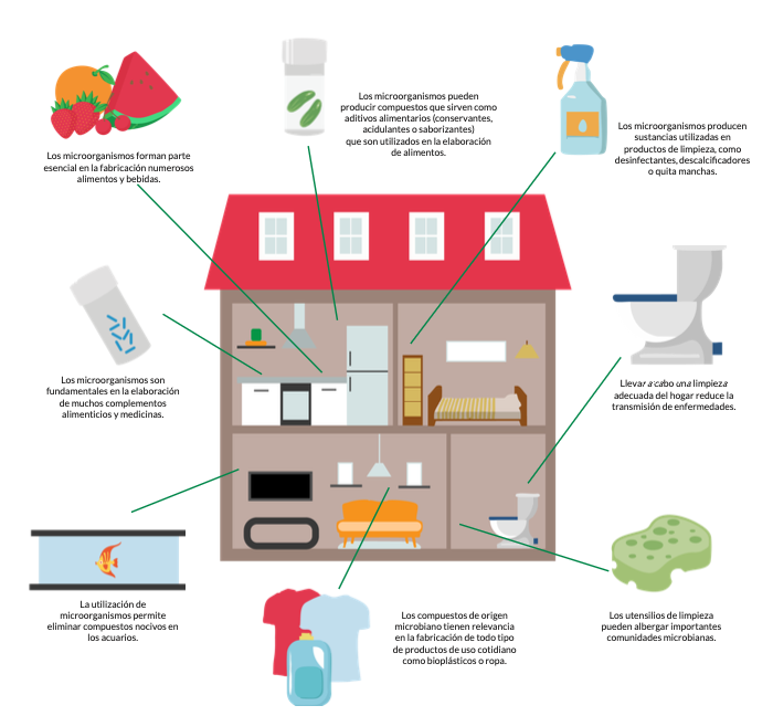Microbiología en el hogar 1